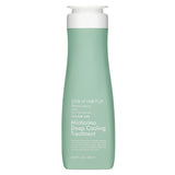 Look At Hair Plus Minticcino Deep Cooling Treatment