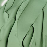 Expert Spirulina Cooling Modeling Mask