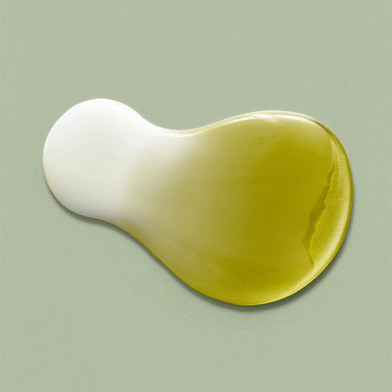 Jeju Matcha Tea Essence