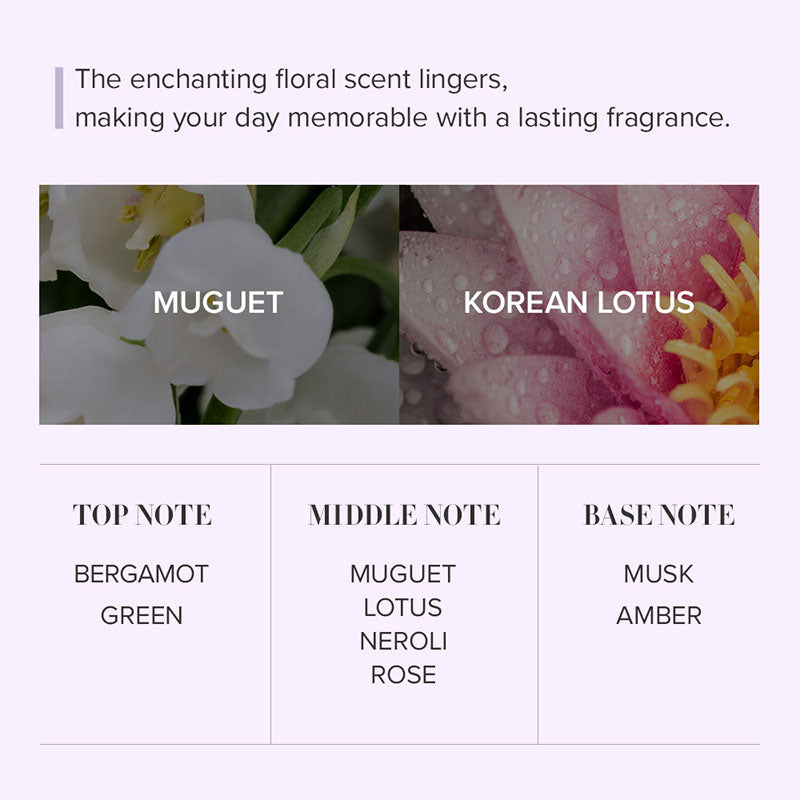 Seoul Edition Hand Cream